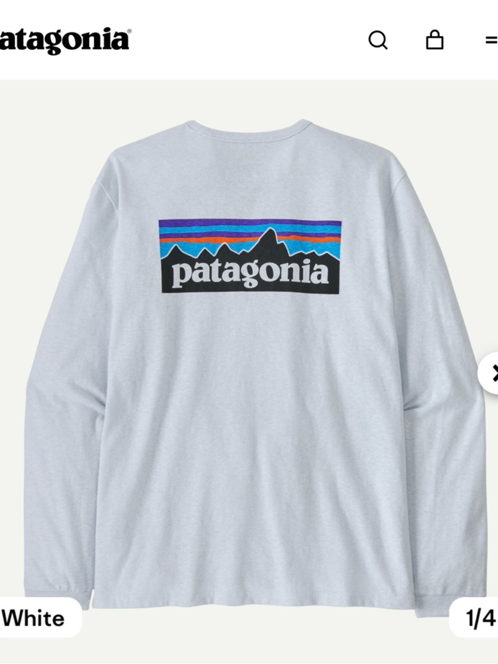Womens Patagonia Long Sleeve Tee